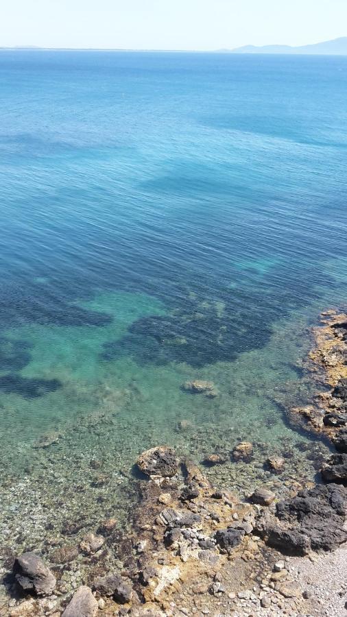B&B Pierilu' Grosseto Zewnętrze zdjęcie